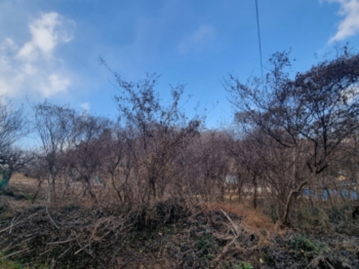 전남 고흥군 동강면 전 경매 물건 사진 5 · 2024타경5483