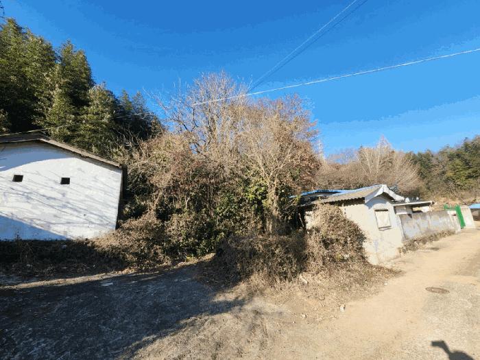 전남 고흥군 동강면 전 경매 물건 사진 4 · 2024타경5483