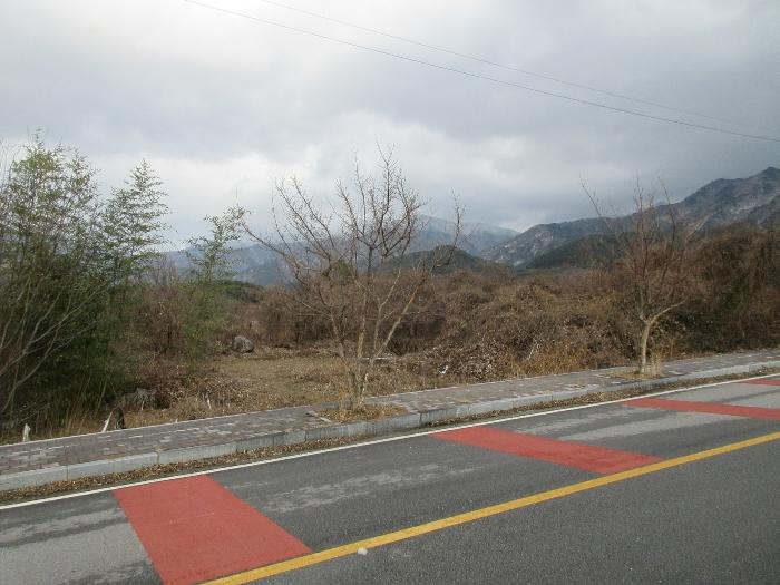 전라남도 구례군 산동면 좌사리 455 전 경매 물건 사진