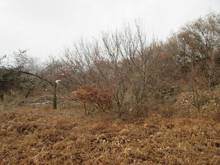 전남 구례군 산동면 전 경매 물건 사진 5 · 2024타경5698