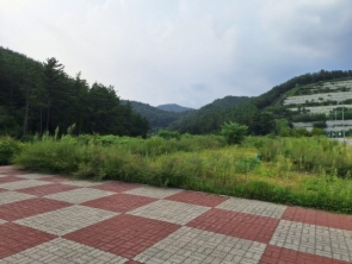 전남 광양시 도이동 임야 경매 물건 사진