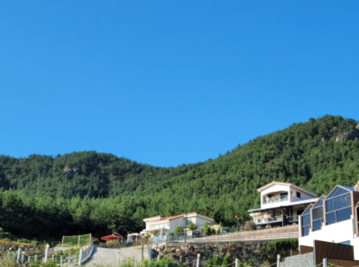 전남 여수시 화양면 임야 경매 물건 사진