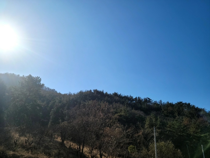 전남 여수시 묘도동 임야 경매 물건 사진 5 · 2024타경63199