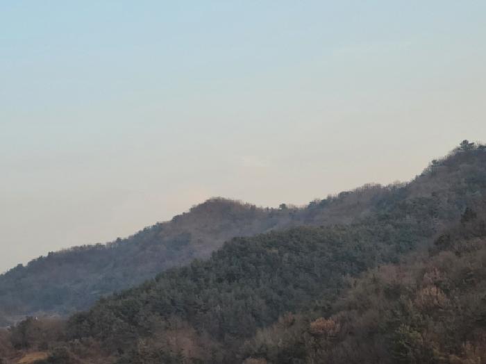 전남 여수시 묘도동 임야 경매 물건 사진