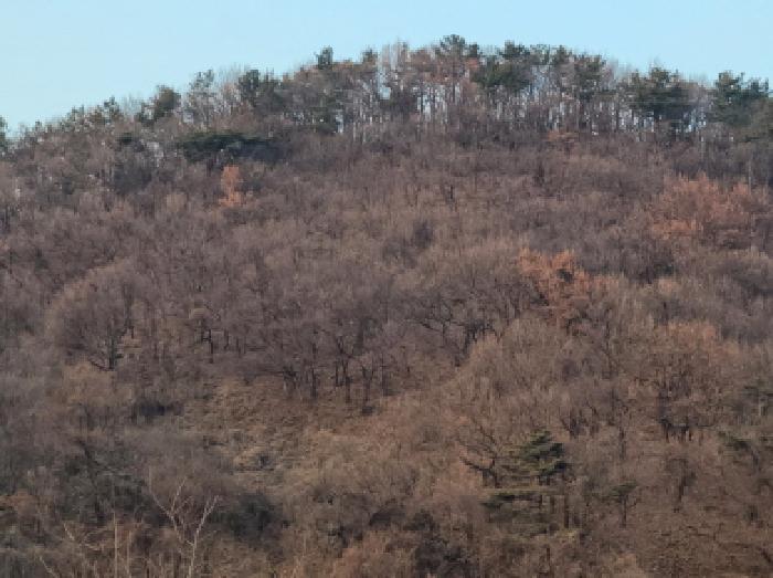 전남 여수시 묘도동 임야 경매 물건 사진 2 · 2024타경63199