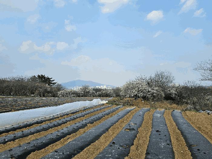 전남 광양시 황길동 답 경매 물건 사진