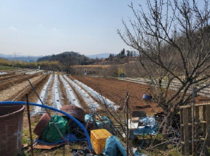 전남 보성군 보성읍 대지,임야,전답 경매 물건 사진 2 · 2025타경371