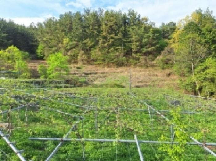 전남 광양시 옥룡면 답 경매 물건 사진 4 · 2025타경379
