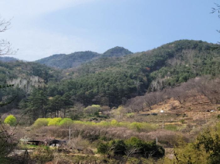 전남 광양시 옥룡면 답 경매 물건 사진