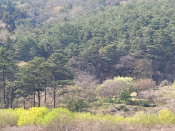 전남 광양시 옥룡면 답 경매 물건 사진 2 · 2025타경379