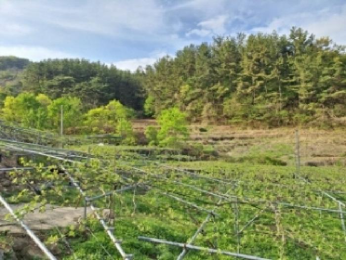 전남 광양시 옥룡면 답 경매 물건 사진 3 · 2025타경379
