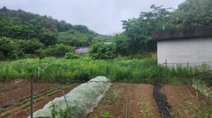 전남 여수시 율촌면 답 경매 물건 사진 5 · 2025타경440