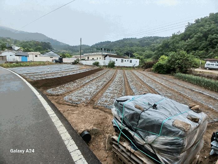 전남 광양시 광양읍 임야 경매 물건 사진
