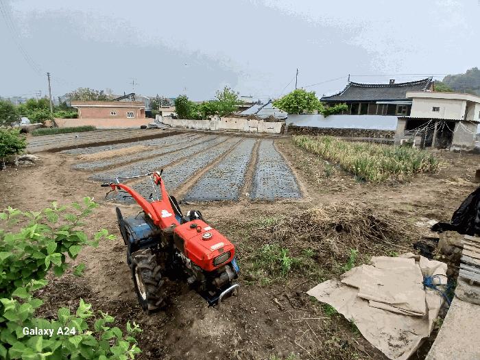전남 광양시 광양읍 임야 경매 물건 사진 6 · 2025타경447