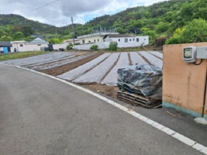 전남 광양시 광양읍 임야 경매 물건 사진 3 · 2025타경447