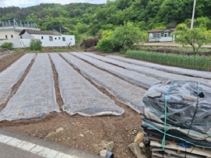 전남 광양시 광양읍 임야 경매 물건 사진 5 · 2025타경447