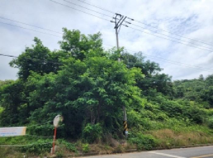 전남 여수시 율촌면 임야 경매 물건 사진 3 · 2025타경463