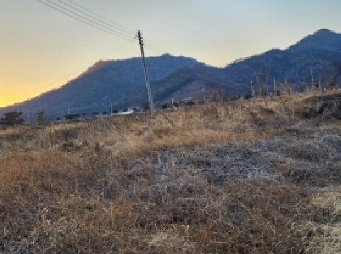 전남 고흥군 동강면 도로 경매 물건 사진