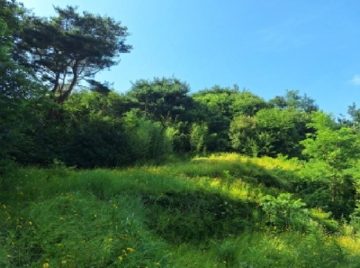 전남 광양시 옥룡면 대지 경매 물건 사진 2 · 2025타경507