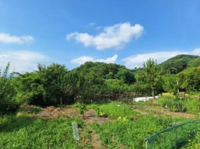 전남 광양시 옥룡면 대지 경매 물건 사진 4 · 2025타경507