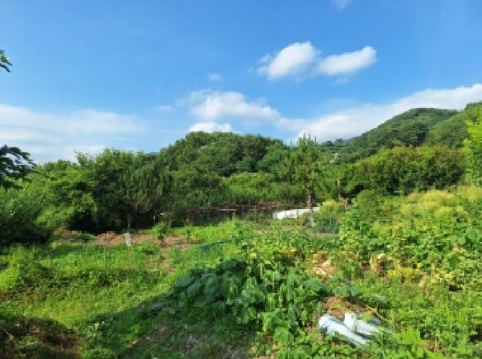전남 광양시 옥룡면 대지 경매 물건 사진 6 · 2025타경507