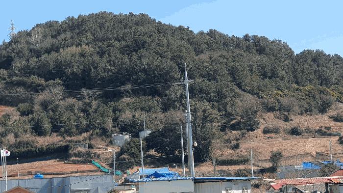 전남 여수시 남면 전 경매 물건 사진 4 · 2025타경50848