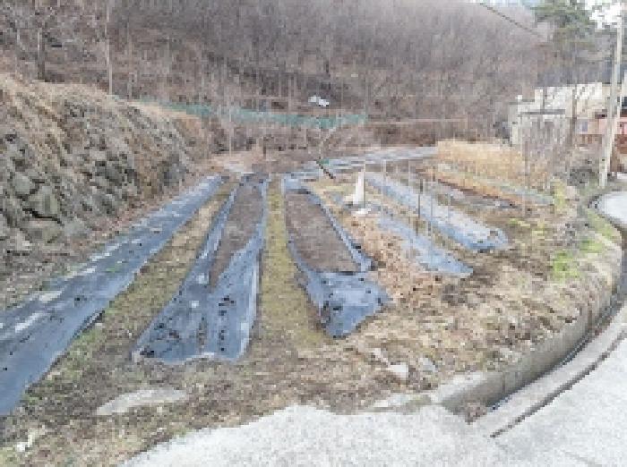 전남 광양시 진상면 답 경매 물건 사진 5 · 2025타경50985
