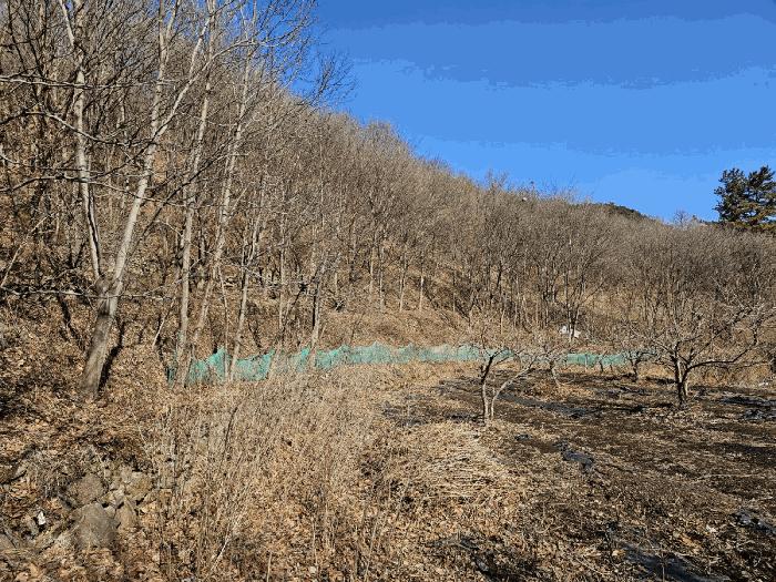 전남 광양시 진상면 답 경매 물건 사진 6 · 2025타경50985
