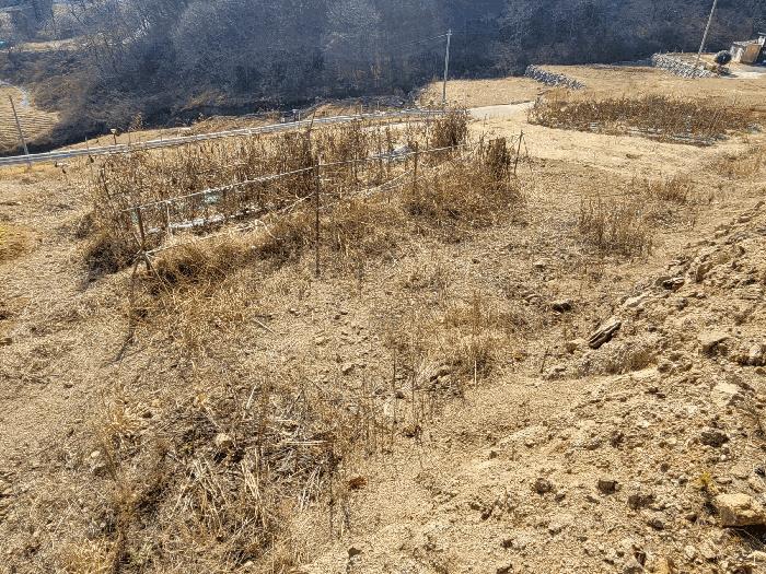 전남 광양시 봉강면 전 경매 물건 사진 2 · 2025타경51061