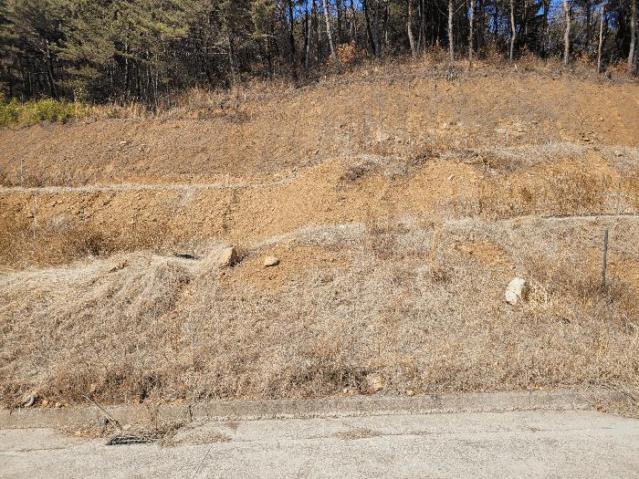 전남 광양시 봉강면 전 경매 물건 사진 5 · 2025타경51061