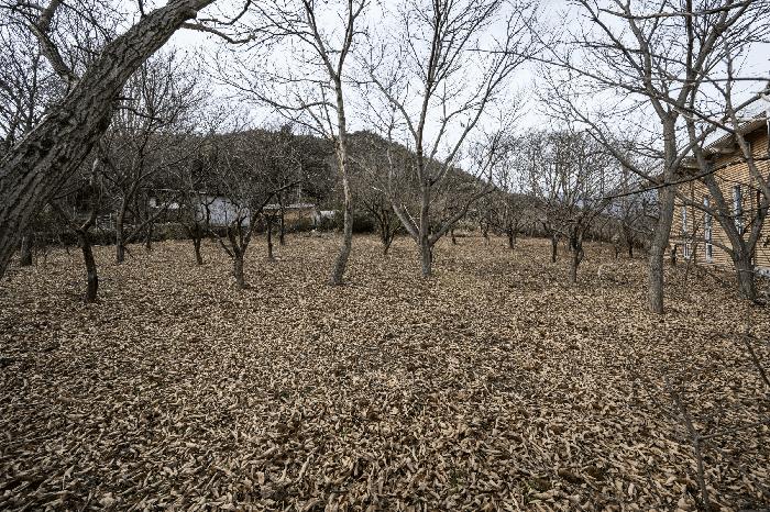 전남 광양시 옥룡면 단독주택 경매 물건 사진