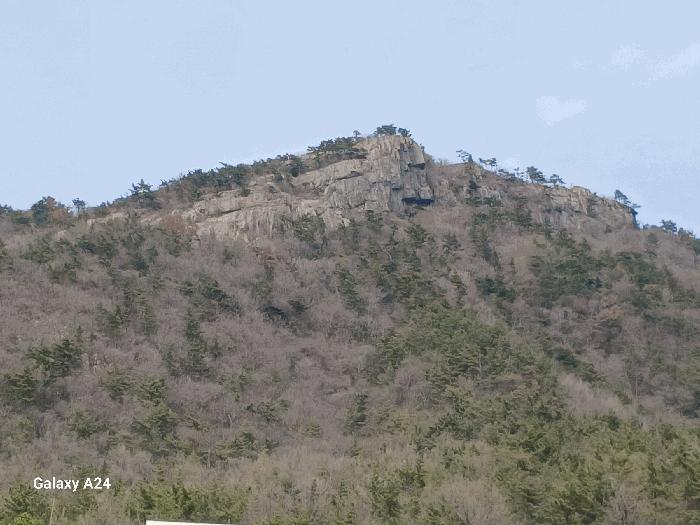 전남 여수시 봉계동 임야 경매 물건 사진