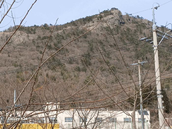 전남 여수시 봉계동 임야 경매 물건 사진 5 · 2025타경51233