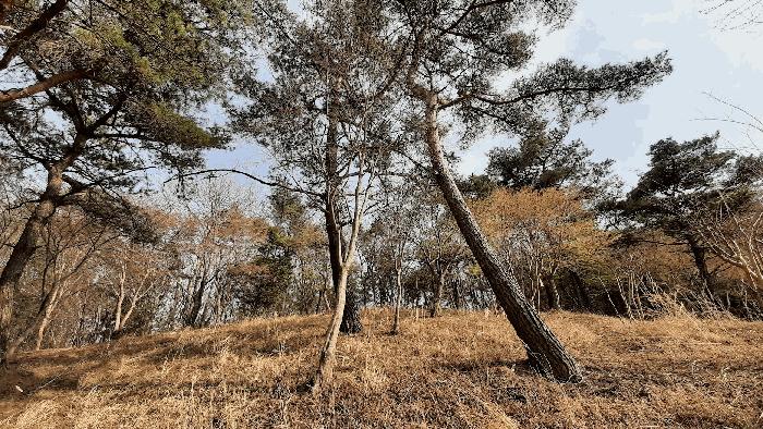 전남 순천시 석현동 임야 경매 물건 사진 6 · 2025타경51263