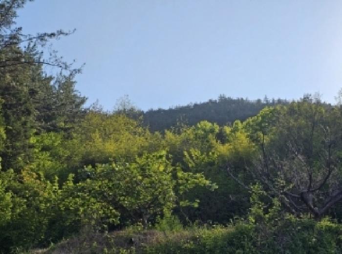 전남 순천시 해룡면 답 경매 물건 사진 6 · 2025타경51324