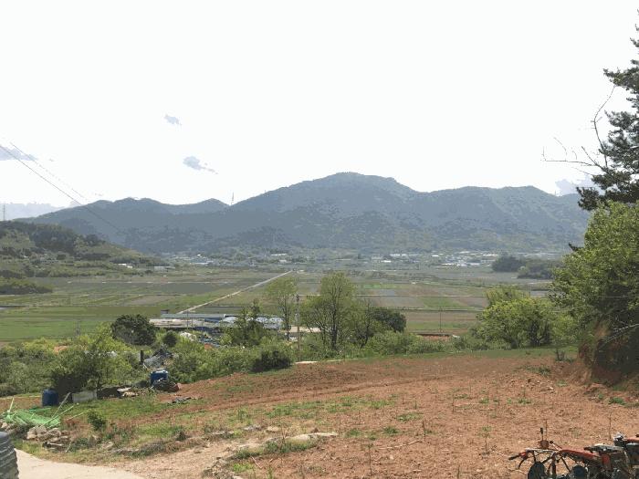전남 순천시 해룡면 답 경매 물건 사진 5 · 2025타경51324