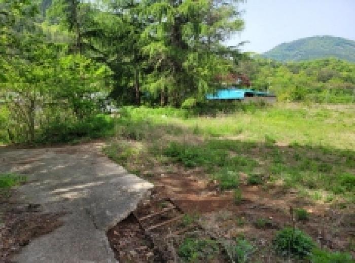 전남 보성군 겸백면 답 경매 물건 사진 2 · 2025타경51327