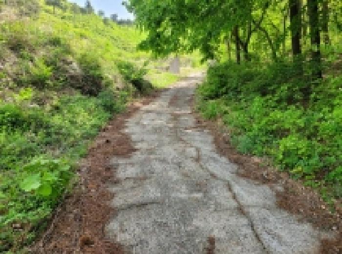 전남 보성군 겸백면 답 경매 물건 사진 3 · 2025타경51327