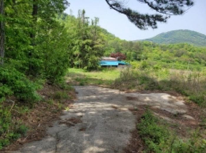전남 보성군 겸백면 답 경매 물건 사진 4 · 2025타경51327