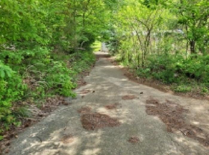 전남 보성군 겸백면 답 경매 물건 사진 5 · 2025타경51327