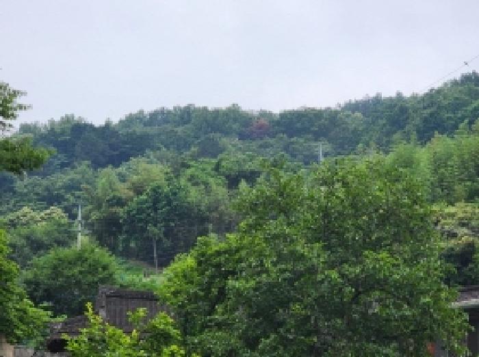 전남 여수시 율촌면 임야 경매 물건 사진 2 · 2025타경51384