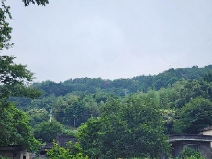 전남 여수시 율촌면 임야 경매 물건 사진 4 · 2025타경51384