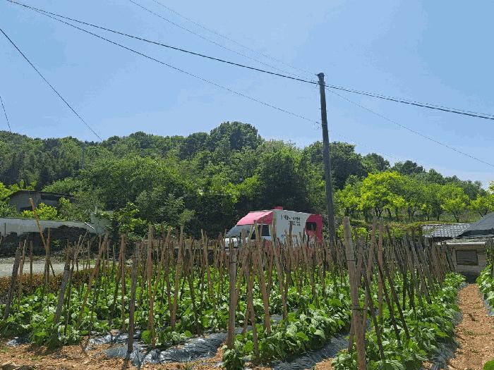 전남 여수시 율촌면 임야 경매 물건 사진 3 · 2025타경51384