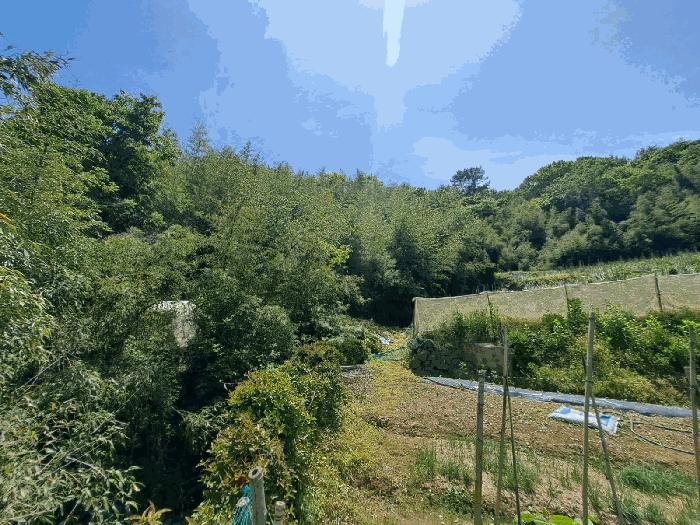전남 여수시 율촌면 임야 경매 물건 사진 5 · 2025타경51384