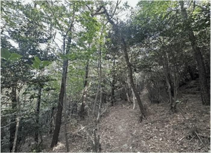전남 광양시 마동 임야 경매 물건 사진