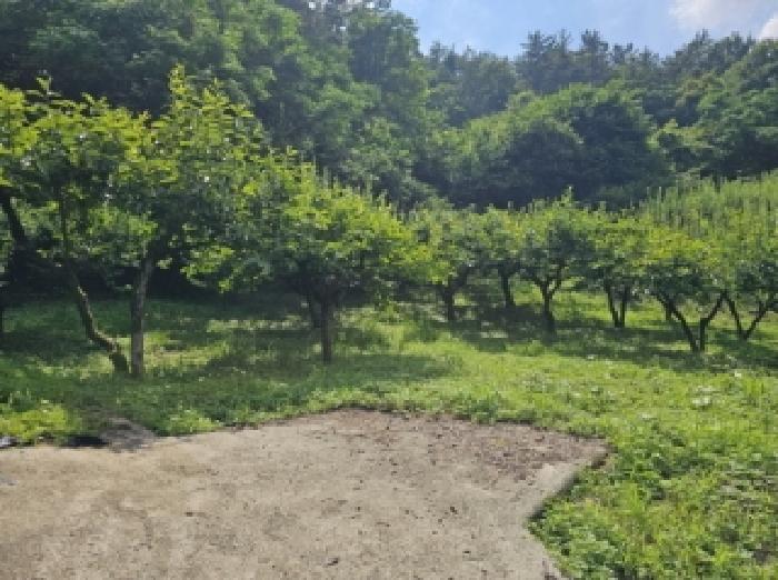 전남 순천시 별량면 전 경매 물건 사진 2 · 2025타경51450
