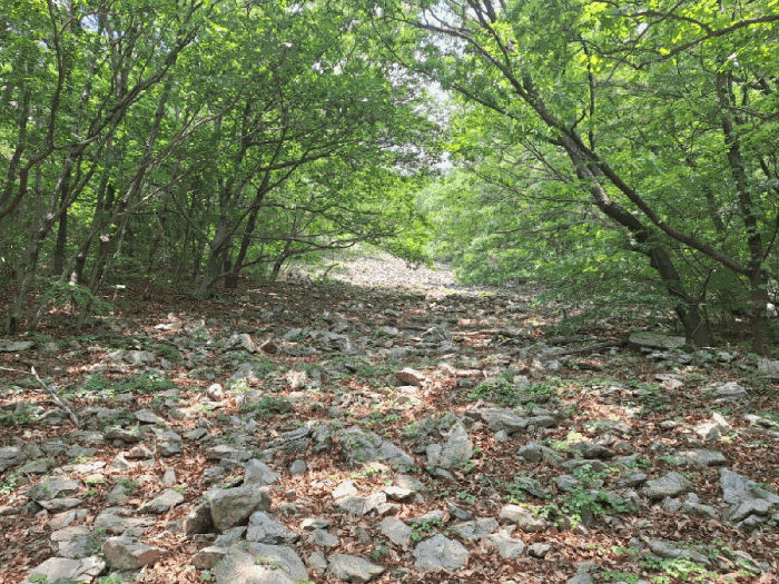 전남 여수시 봉계동 임야 경매 물건 사진 4 · 2025타경51487