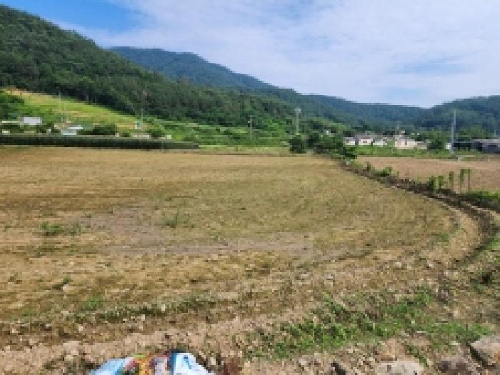 전남 여수시 화양면 임야 경매 물건 사진 2 · 2025타경51568