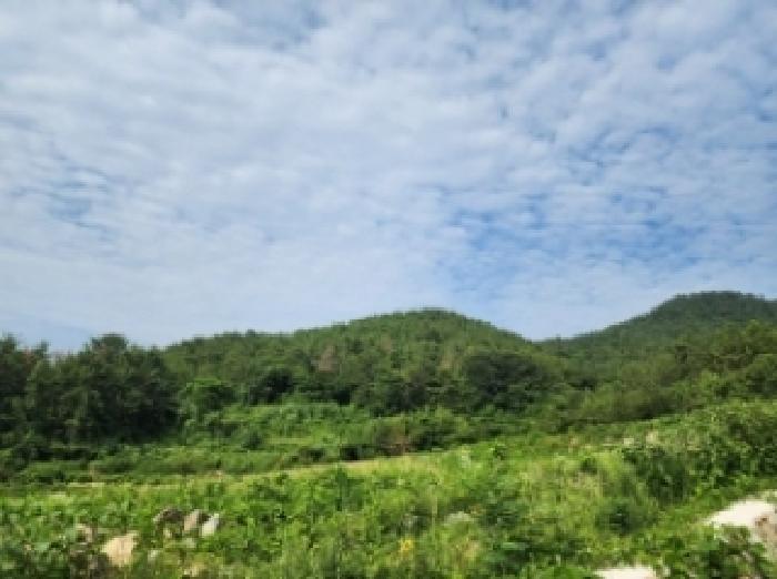 전남 여수시 화양면 임야 경매 물건 사진 4 · 2025타경51568