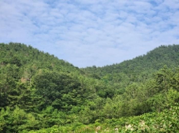 전남 여수시 화양면 임야 경매 물건 사진 5 · 2025타경51568